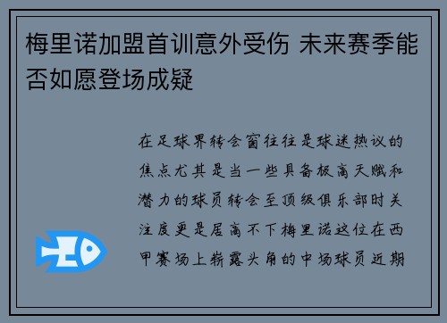 梅里诺加盟首训意外受伤 未来赛季能否如愿登场成疑