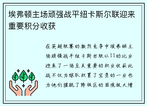 埃弗顿主场顽强战平纽卡斯尔联迎来重要积分收获